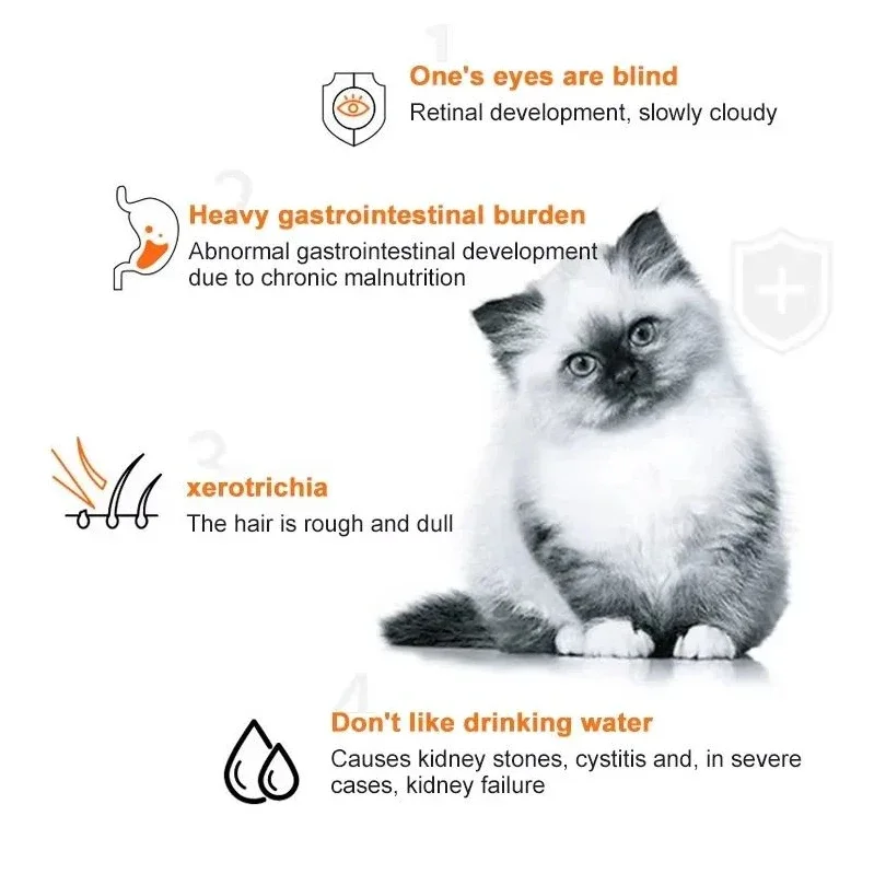 10 Uds. Tiras para gatos, aper - Snacks Food Labels reseña y precio
