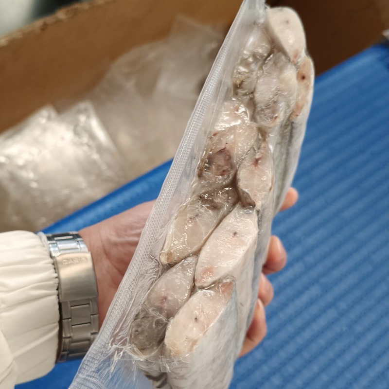 Máquina de Envasado al Vacío T - Jerky Beef Pack reseña y precio